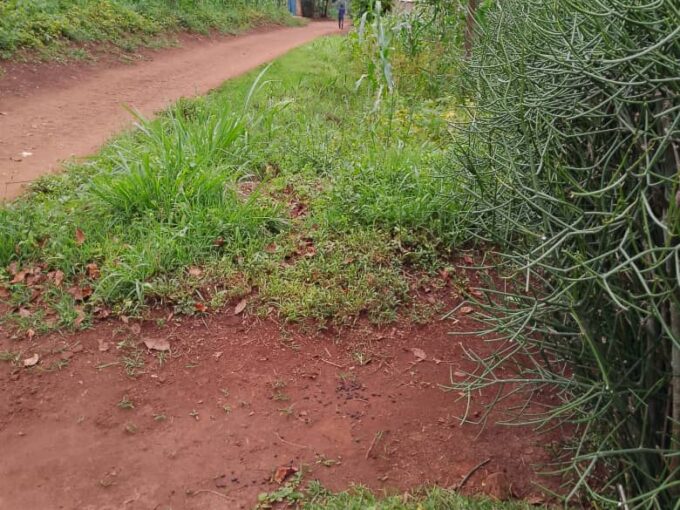 Affordable combined 4 Plots of land for sale in Nyamirama