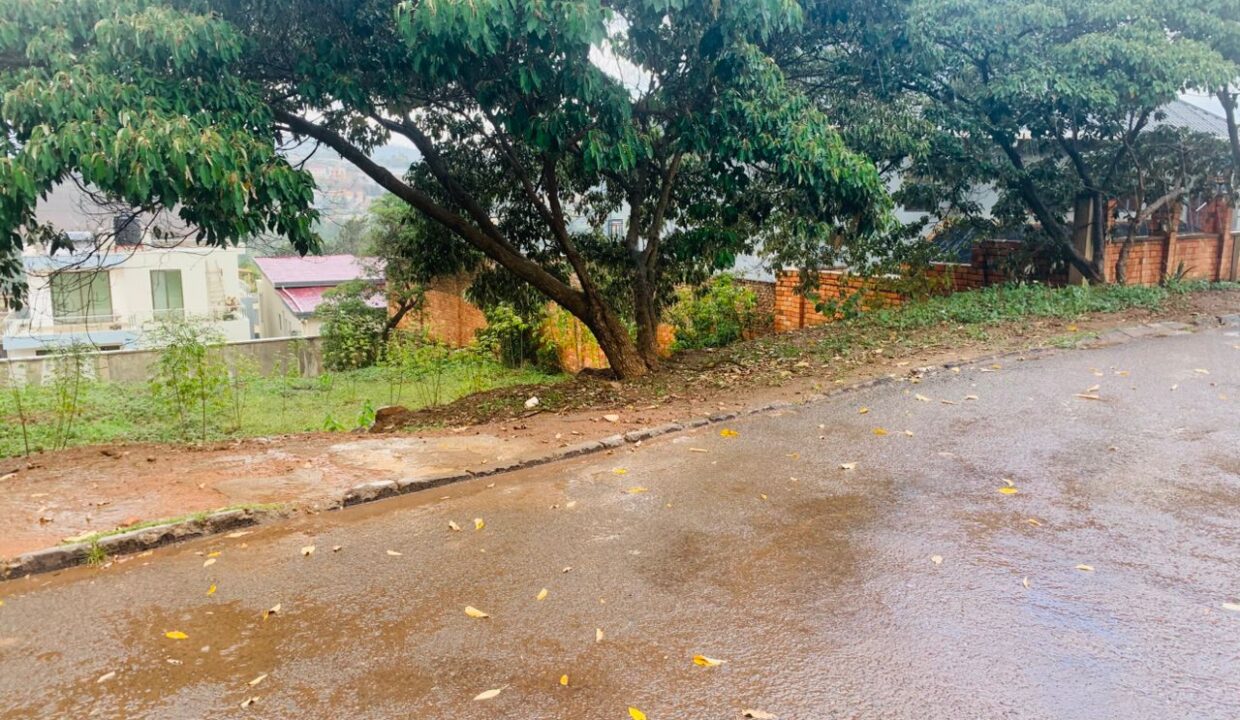 WhatsApp Image 2025-10-12 at 20.00.32_a7cca22b