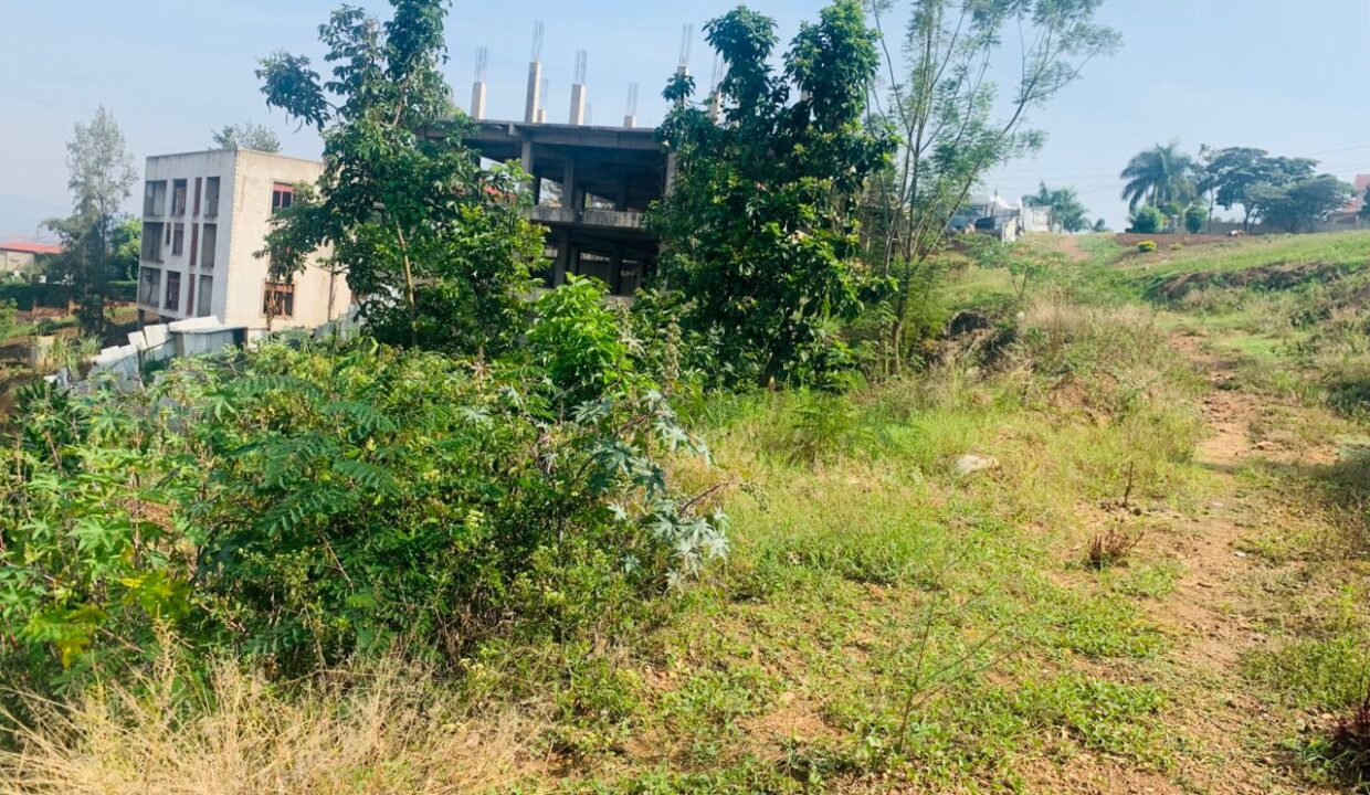 WhatsApp Image 2025-10-12 at 20.11.37_d4cc4aa5