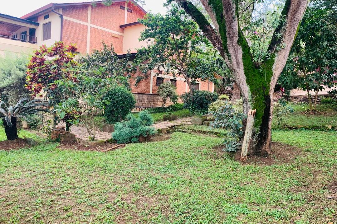 WhatsApp Image 2025-12-18 at 5.44.01 PM