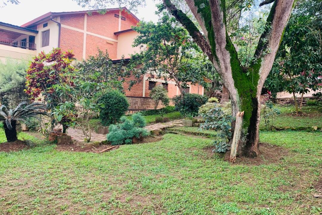 WhatsApp Image 2025-12-18 at 5.44.02 PM