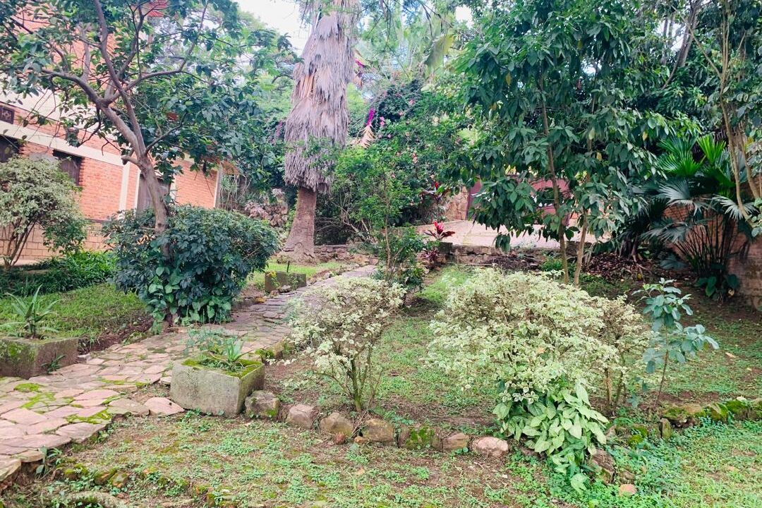 WhatsApp Image 2025-12-18 at 5.44.04 PM (2)