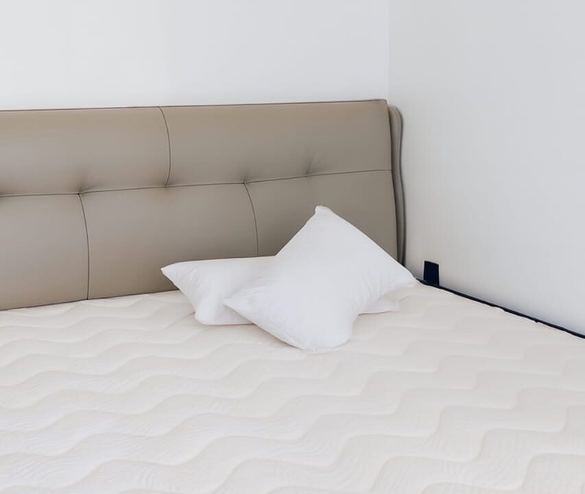 WhatsApp Image 2026-01-29 at 12.40.18 PM