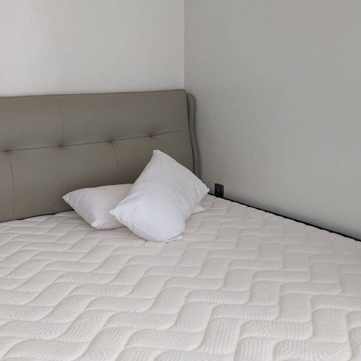 WhatsApp Image 2026-01-29 at 12.40.48 PM