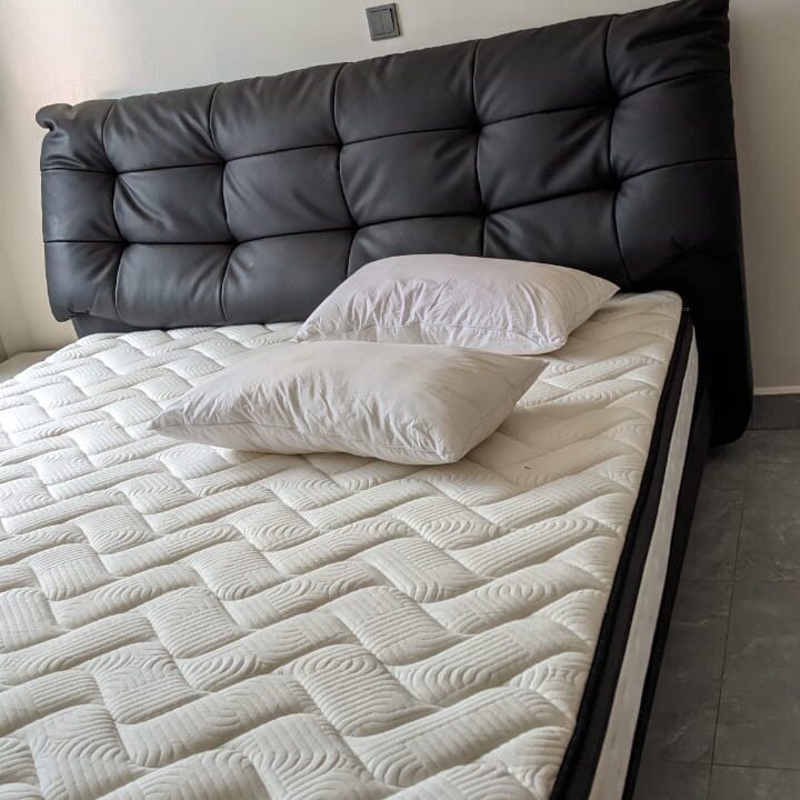 WhatsApp Image 2026-01-29 at 12.40.52 PM (1)