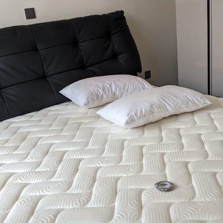 WhatsApp Image 2026-01-29 at 12.41.00 PM (1)