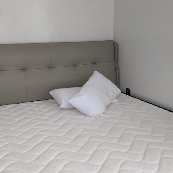 WhatsApp Image 2026-01-29 at 12.41.00 PM