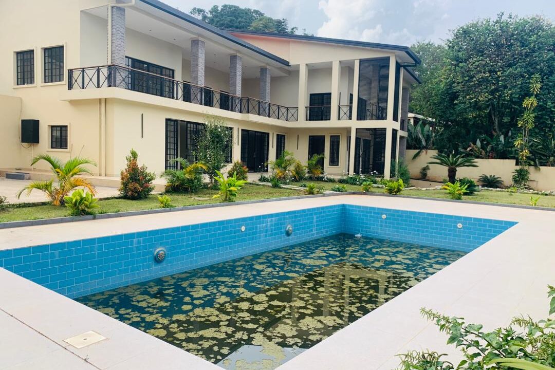 WhatsApp Image 2026-03-30 at 3.31.50 PM (2)